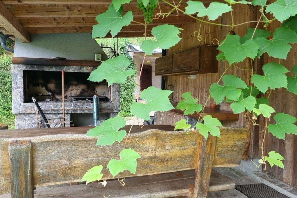 Country Retreat, Near Ljubljana City, Apartma Na Vasi, Blizu Mesta Ljubljana Daire Medvode Dış mekan fotoğraf